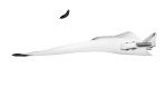 ⁦סנפיר LightJet לבן⁩ – תמונה ⁦5⁩